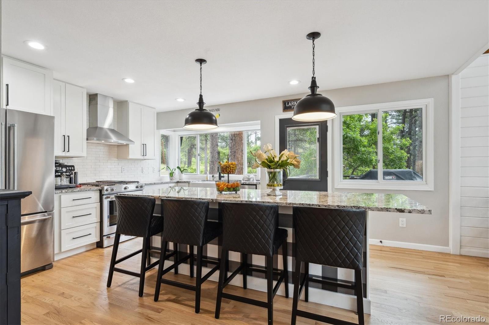 MLS Image #14 for 7312  marshall road,larkspur, Colorado