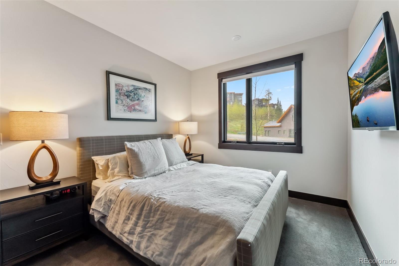 MLS Image #19 for 14 e baron way,silverthorne, Colorado