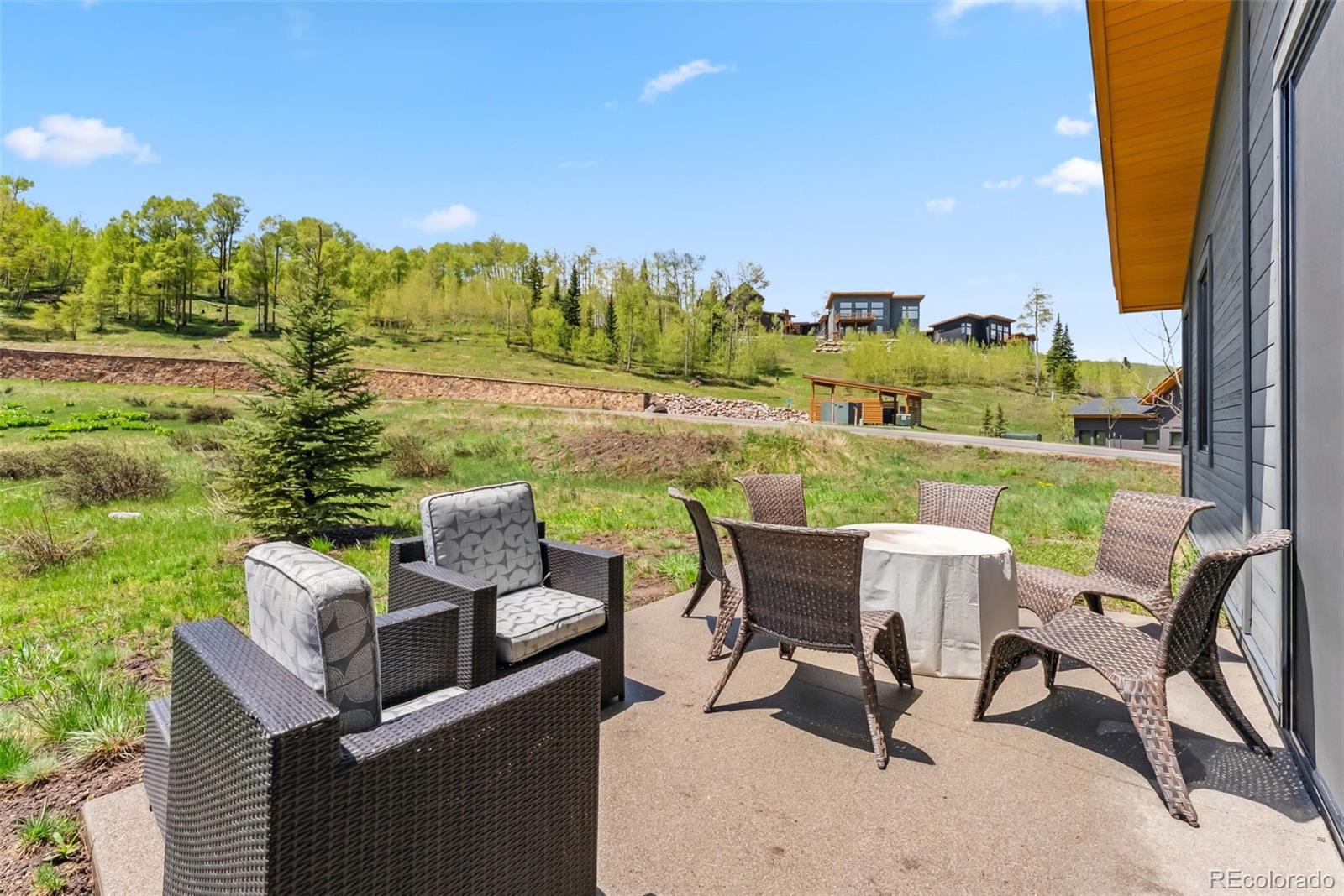 MLS Image #30 for 14 e baron way,silverthorne, Colorado