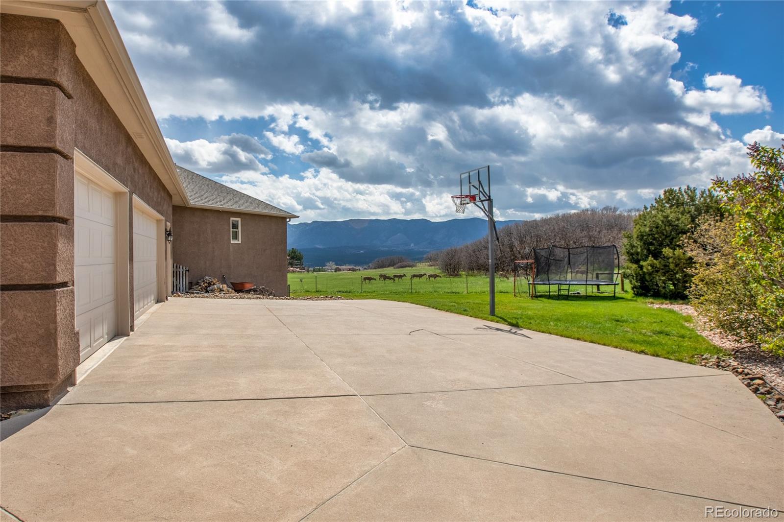 MLS Image #3 for 15090  jessie drive,colorado springs, Colorado