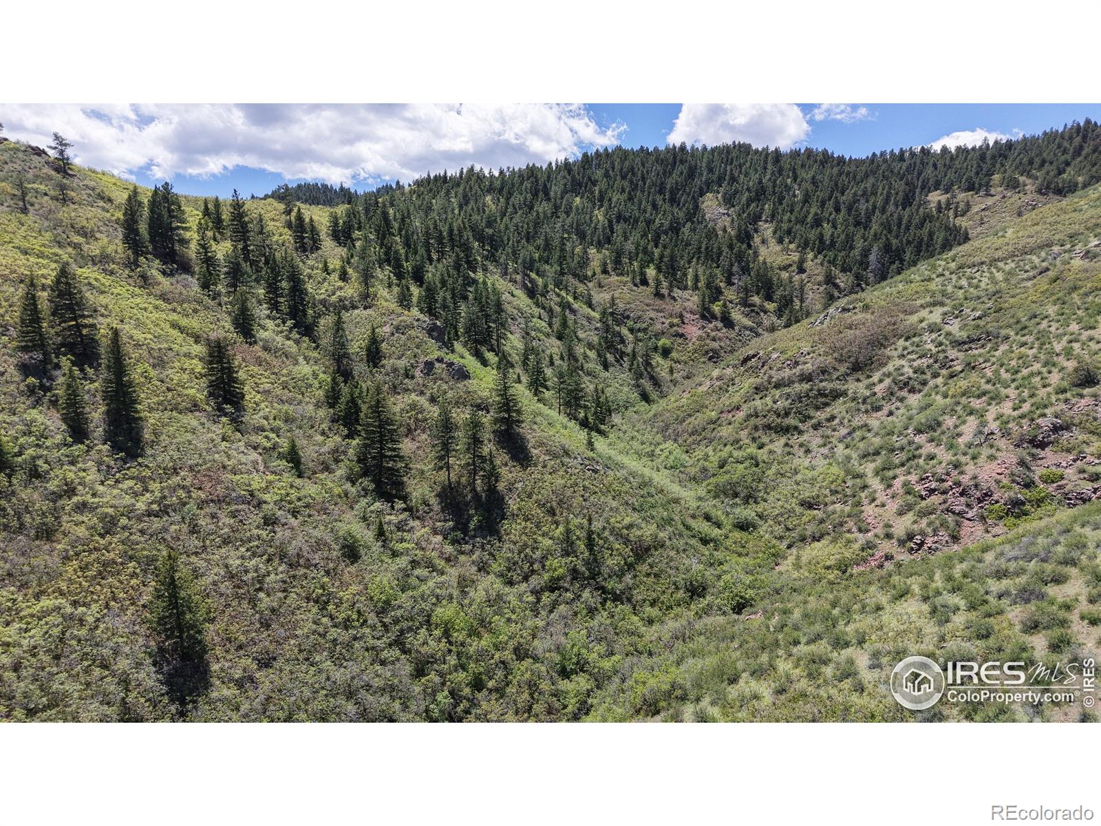 MLS Image #38 for 6945 n fargo trail ,littleton, Colorado