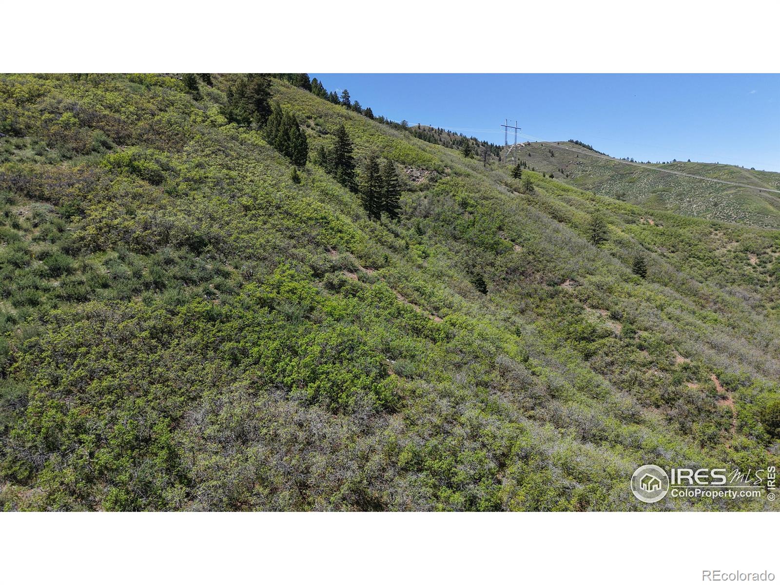 MLS Image #39 for 6945 n fargo trail ,littleton, Colorado