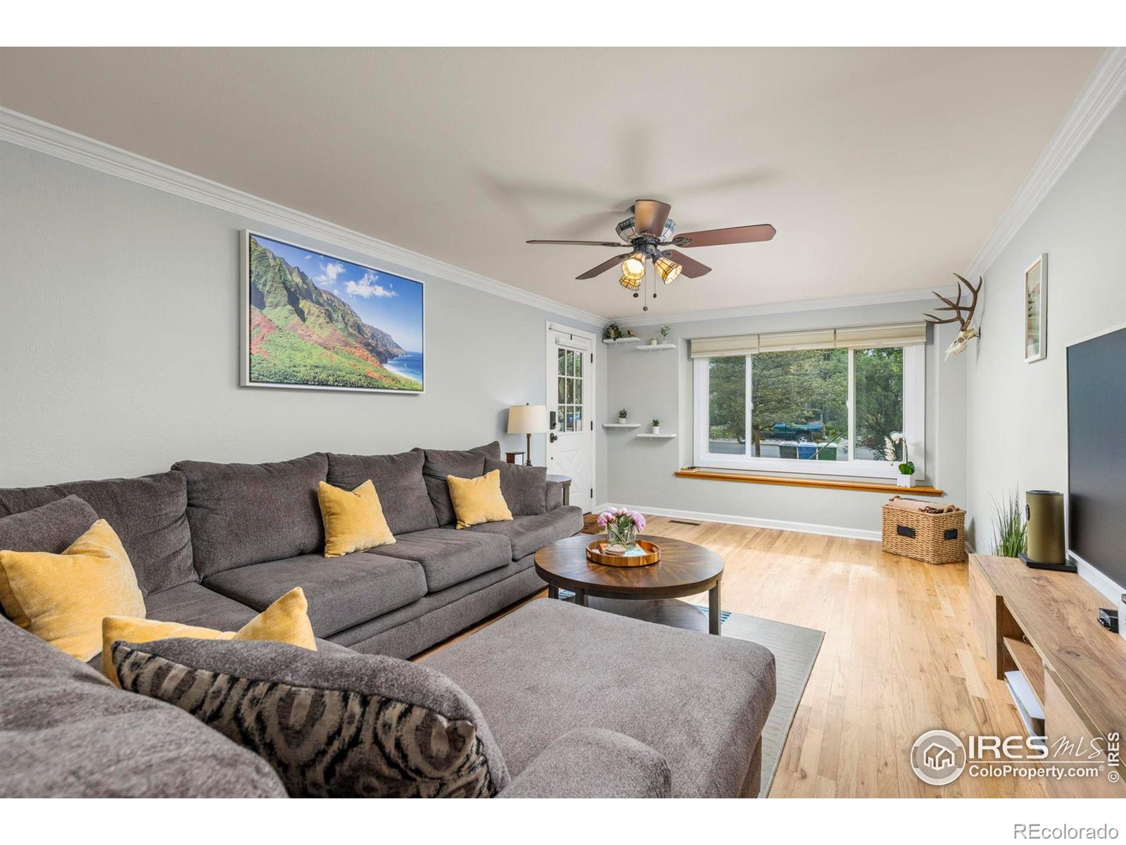 MLS Image #5 for 612  cowan street,fort collins, Colorado