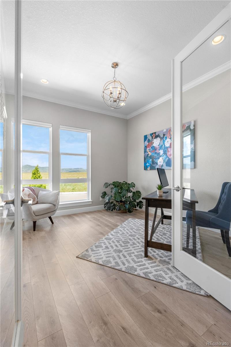 MLS Image #12 for 9340  mount jackson street,littleton, Colorado