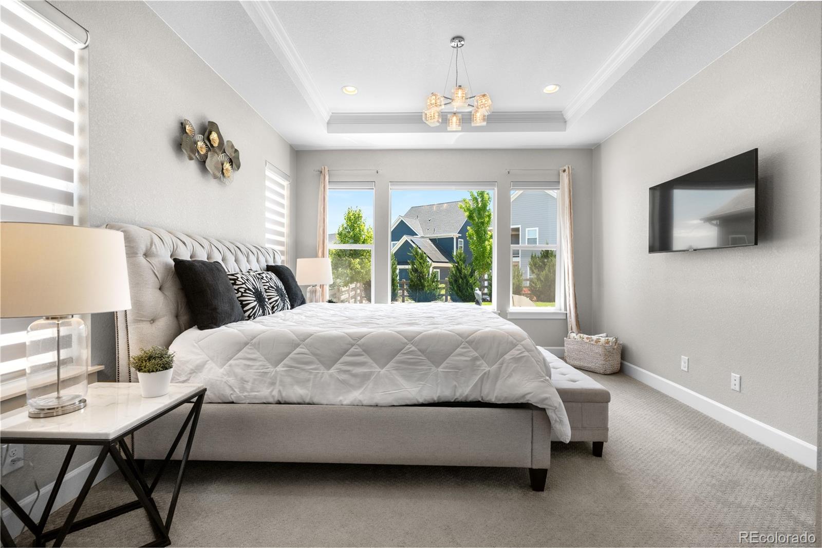 MLS Image #14 for 9340  mount jackson street,littleton, Colorado