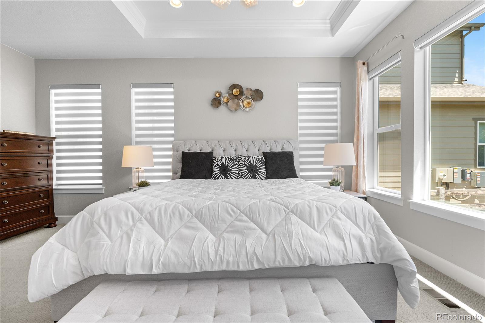 MLS Image #15 for 9340  mount jackson street,littleton, Colorado