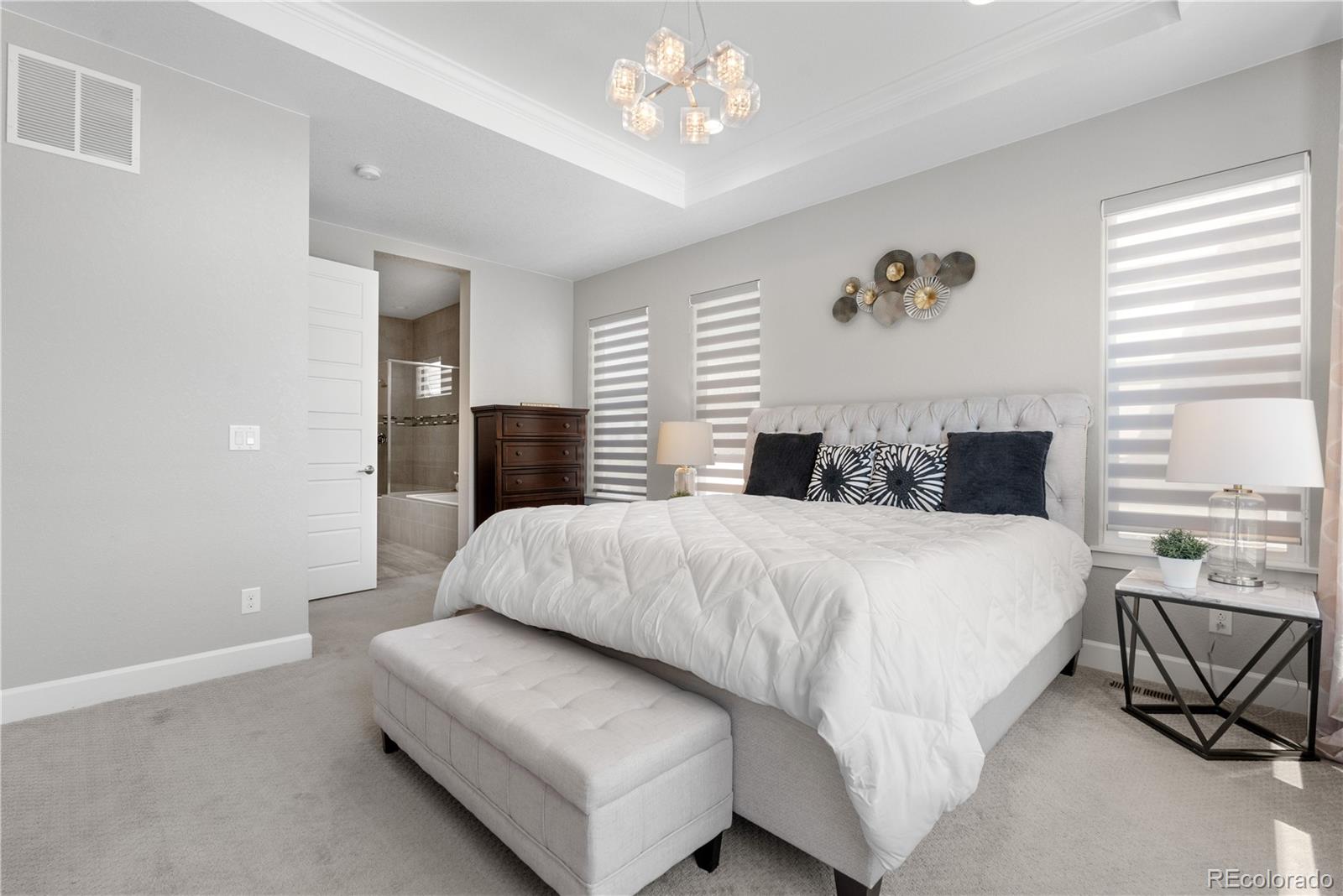 MLS Image #16 for 9340  mount jackson street,littleton, Colorado