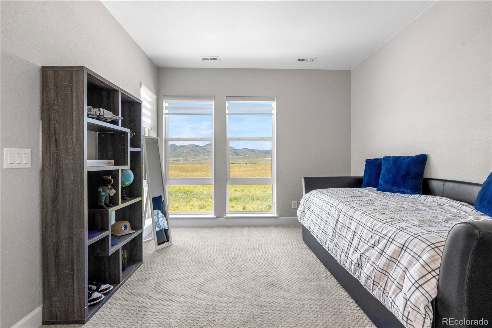 MLS Image #26 for 9340  mount jackson street,littleton, Colorado