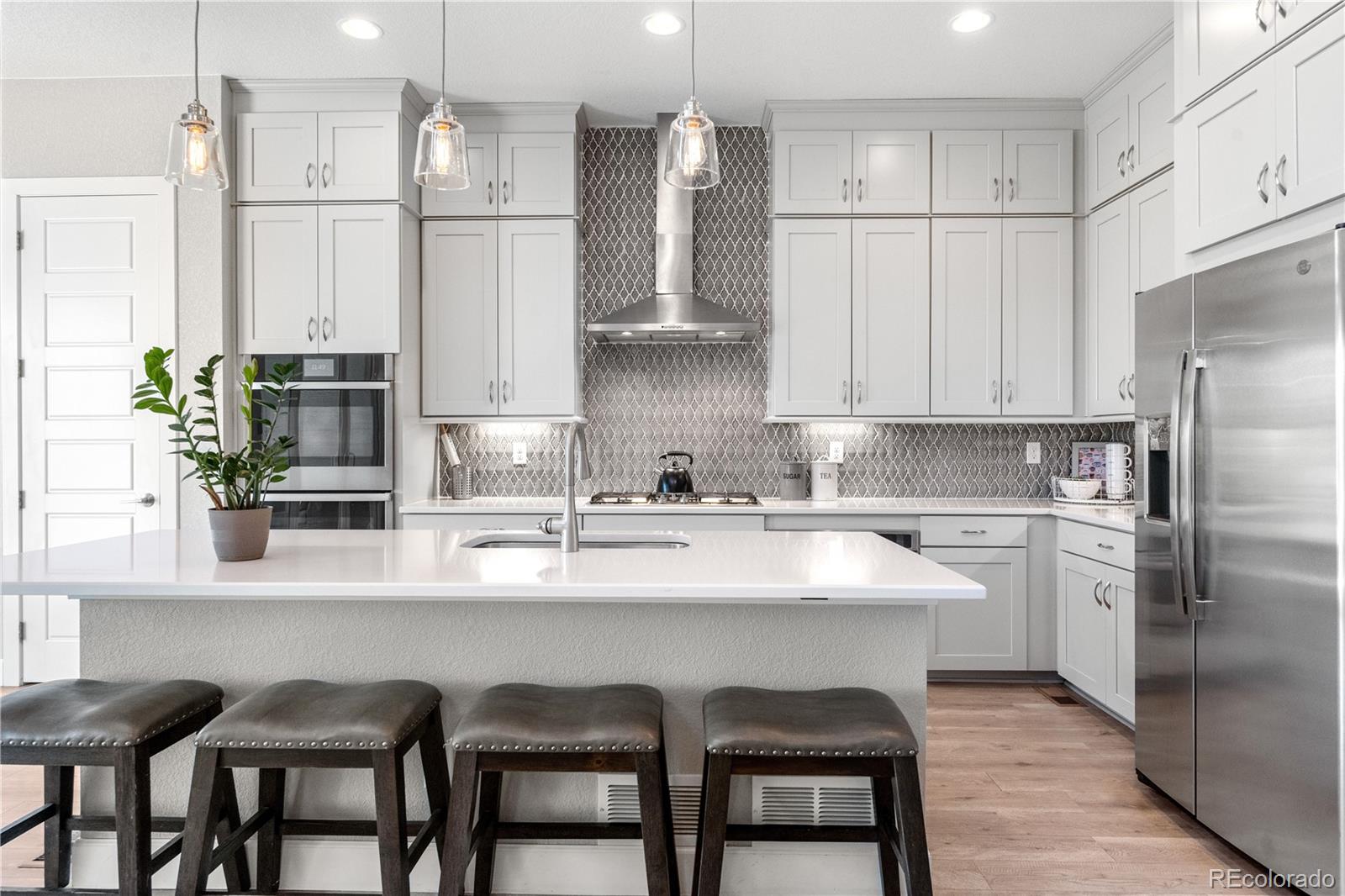 MLS Image #8 for 9340  mount jackson street,littleton, Colorado