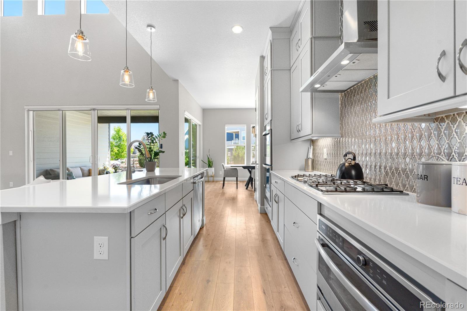 MLS Image #9 for 9340  mount jackson street,littleton, Colorado