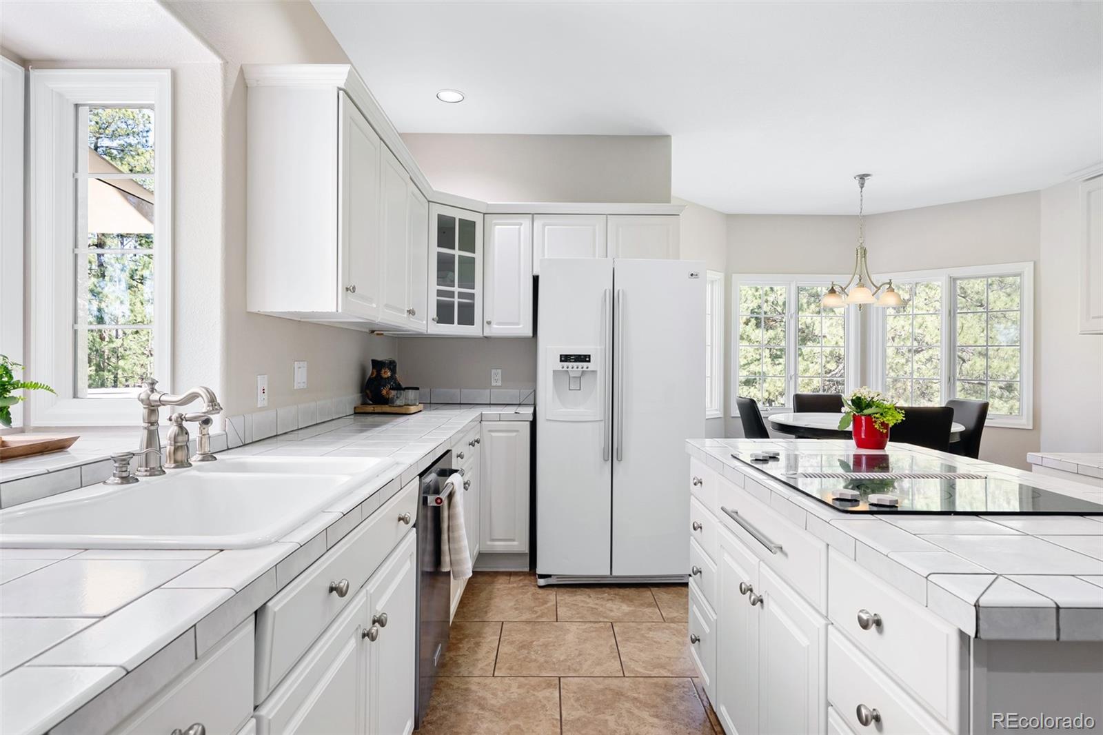 MLS Image #10 for 407 s white tail drive,franktown, Colorado
