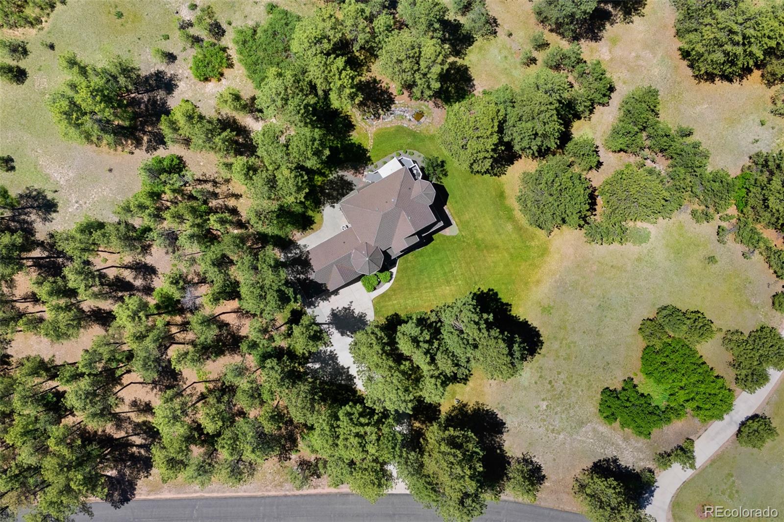 MLS Image #38 for 407 s white tail drive,franktown, Colorado