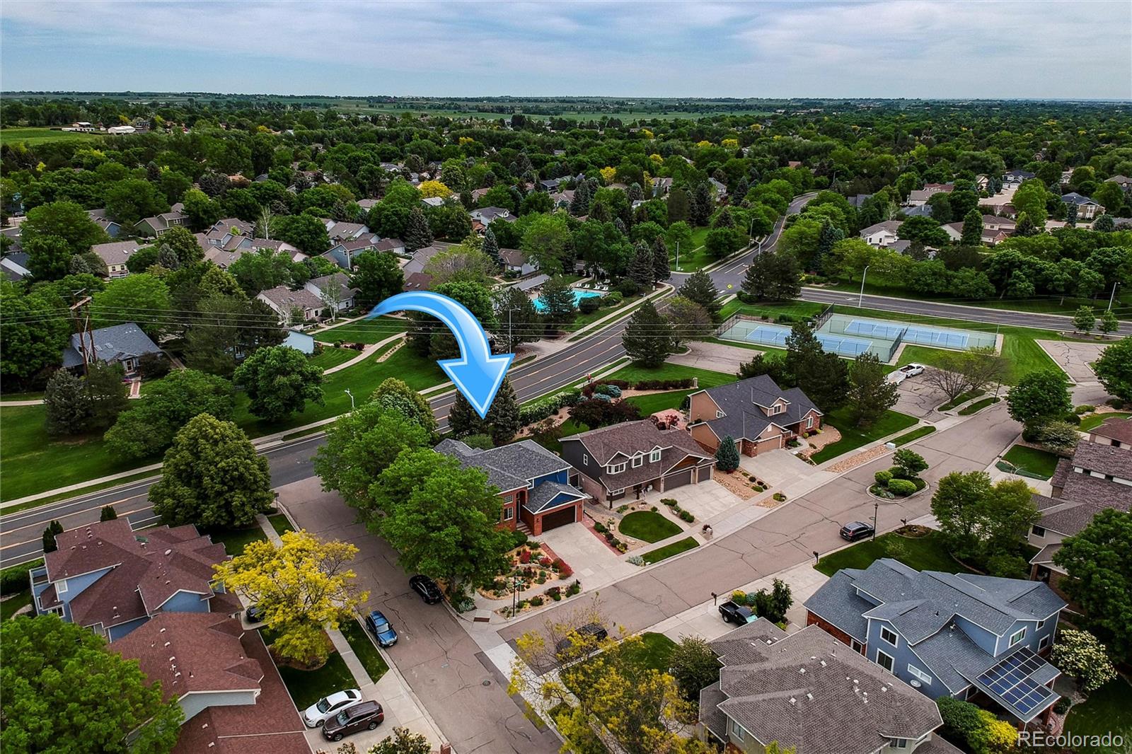 MLS Image #3 for 3142  captains lane,longmont, Colorado