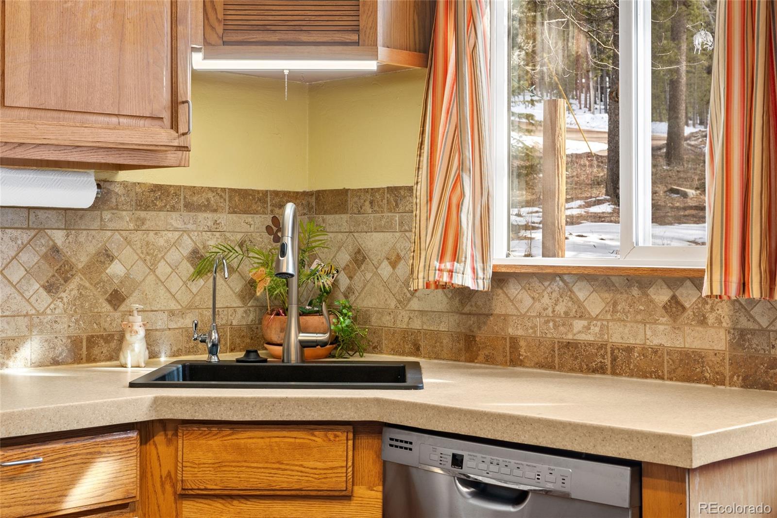MLS Image #10 for 9061  n rex lane,conifer, Colorado