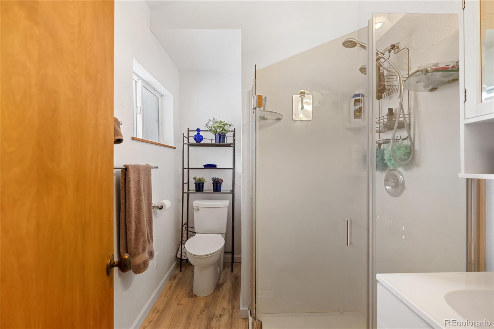 MLS Image #20 for 9061  n rex lane,conifer, Colorado