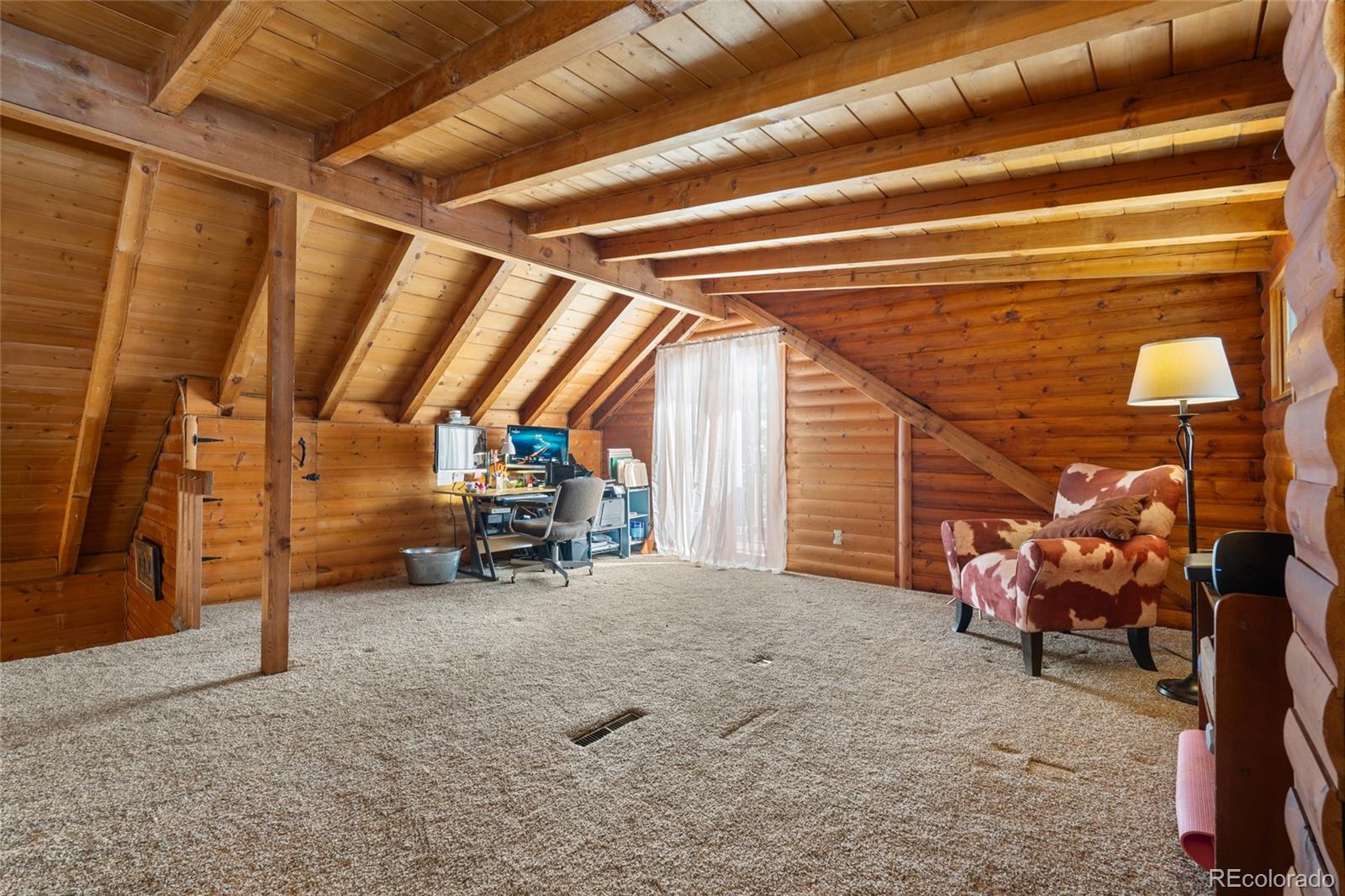 MLS Image #21 for 9061  n rex lane,conifer, Colorado
