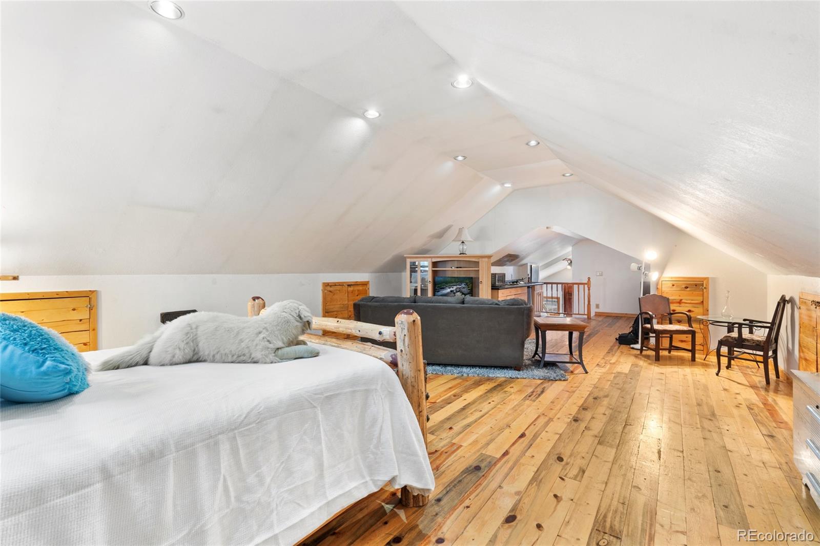 MLS Image #26 for 9061  n rex lane,conifer, Colorado