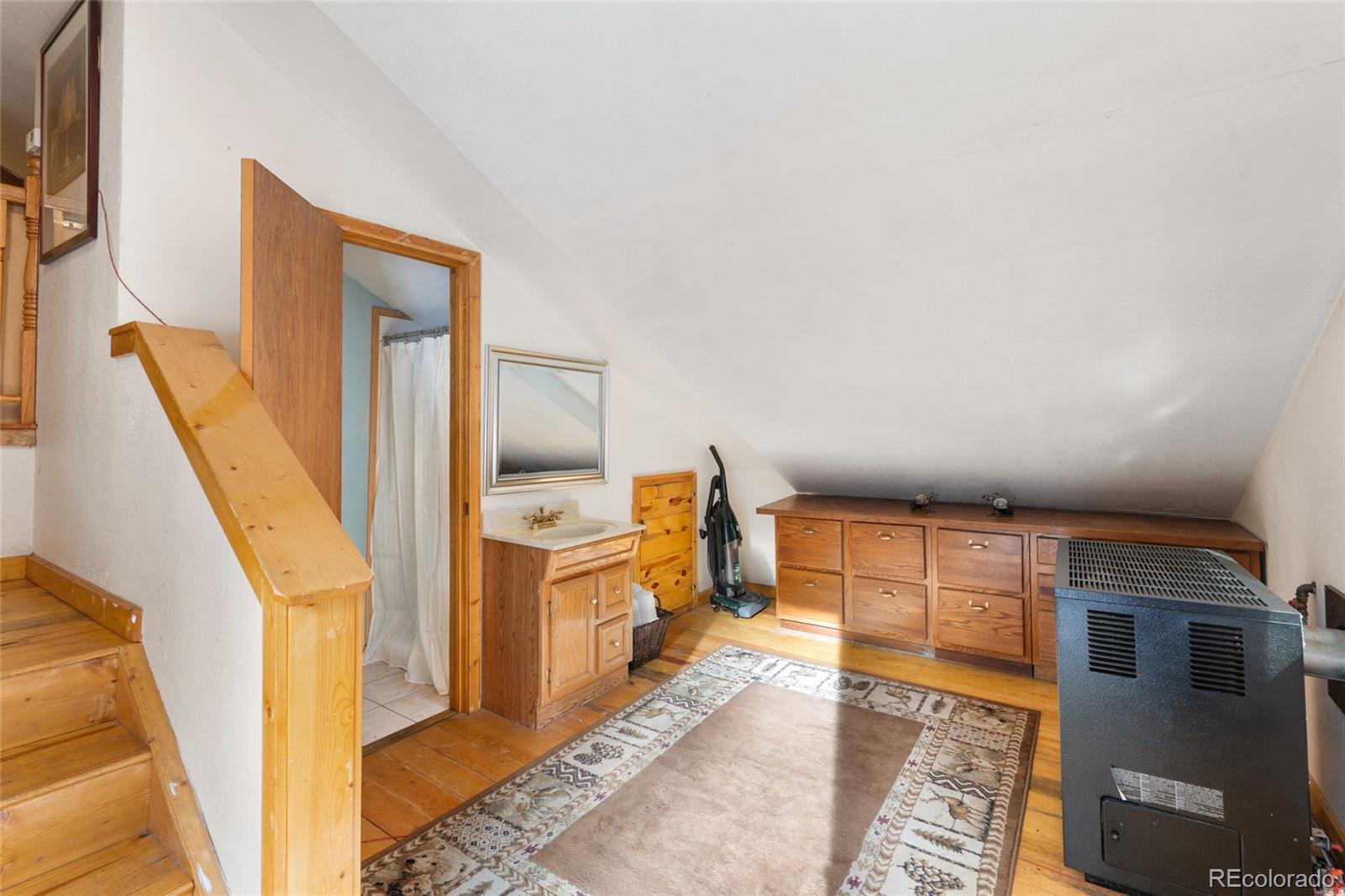 MLS Image #28 for 9061  n rex lane,conifer, Colorado
