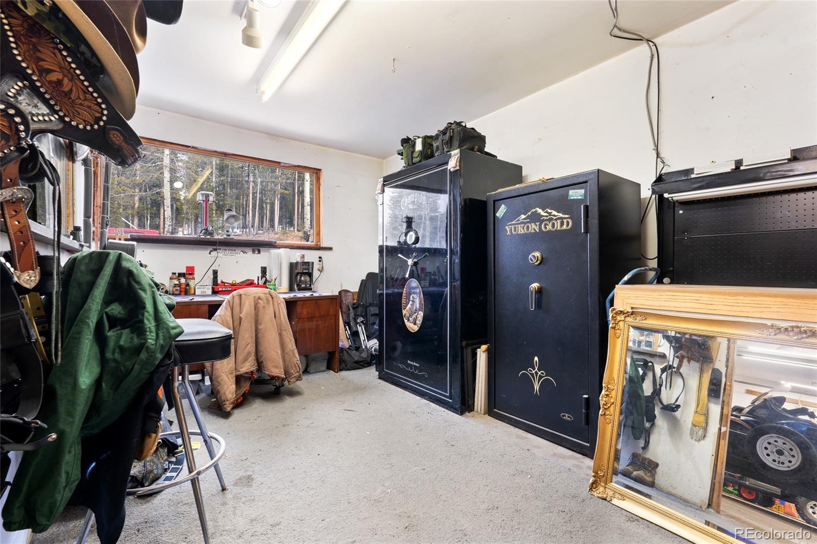 MLS Image #4 for 9061  n rex lane,conifer, Colorado