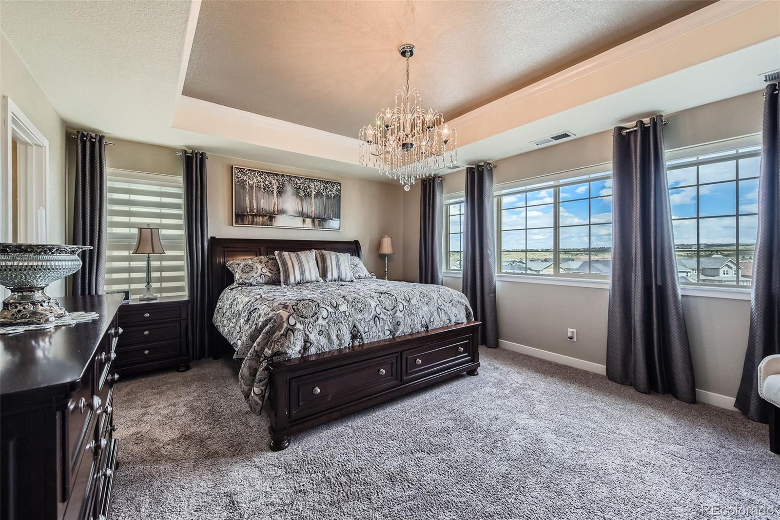 MLS Image #22 for 8133  arapahoe peak street,littleton, Colorado