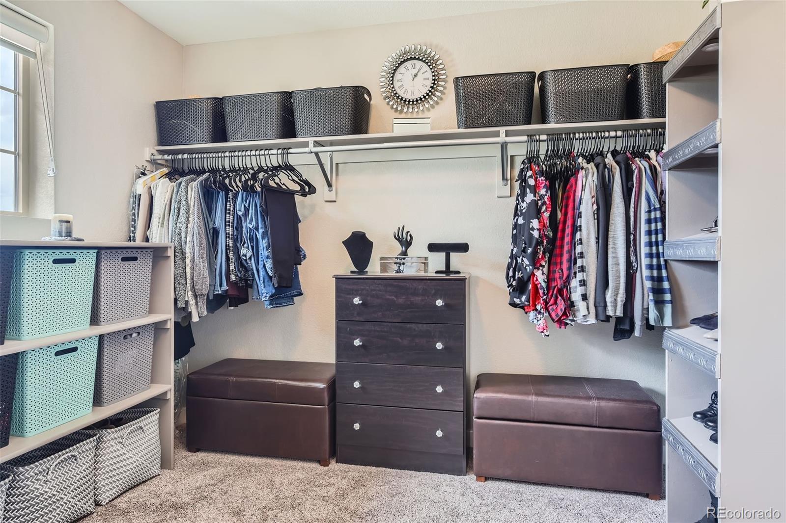 MLS Image #24 for 8133  arapahoe peak street,littleton, Colorado
