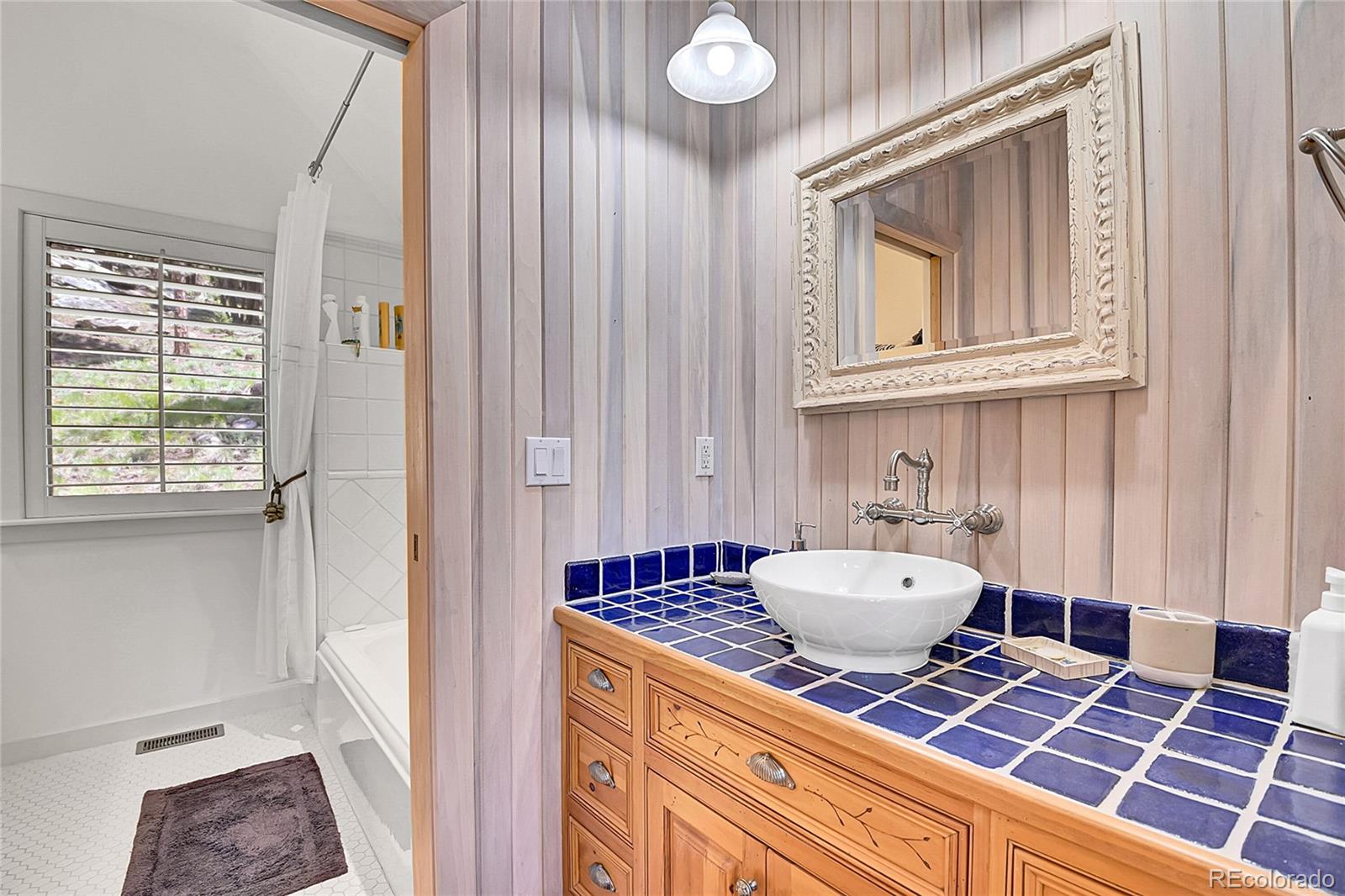 MLS Image #30 for 4158  wild flower court,evergreen, Colorado