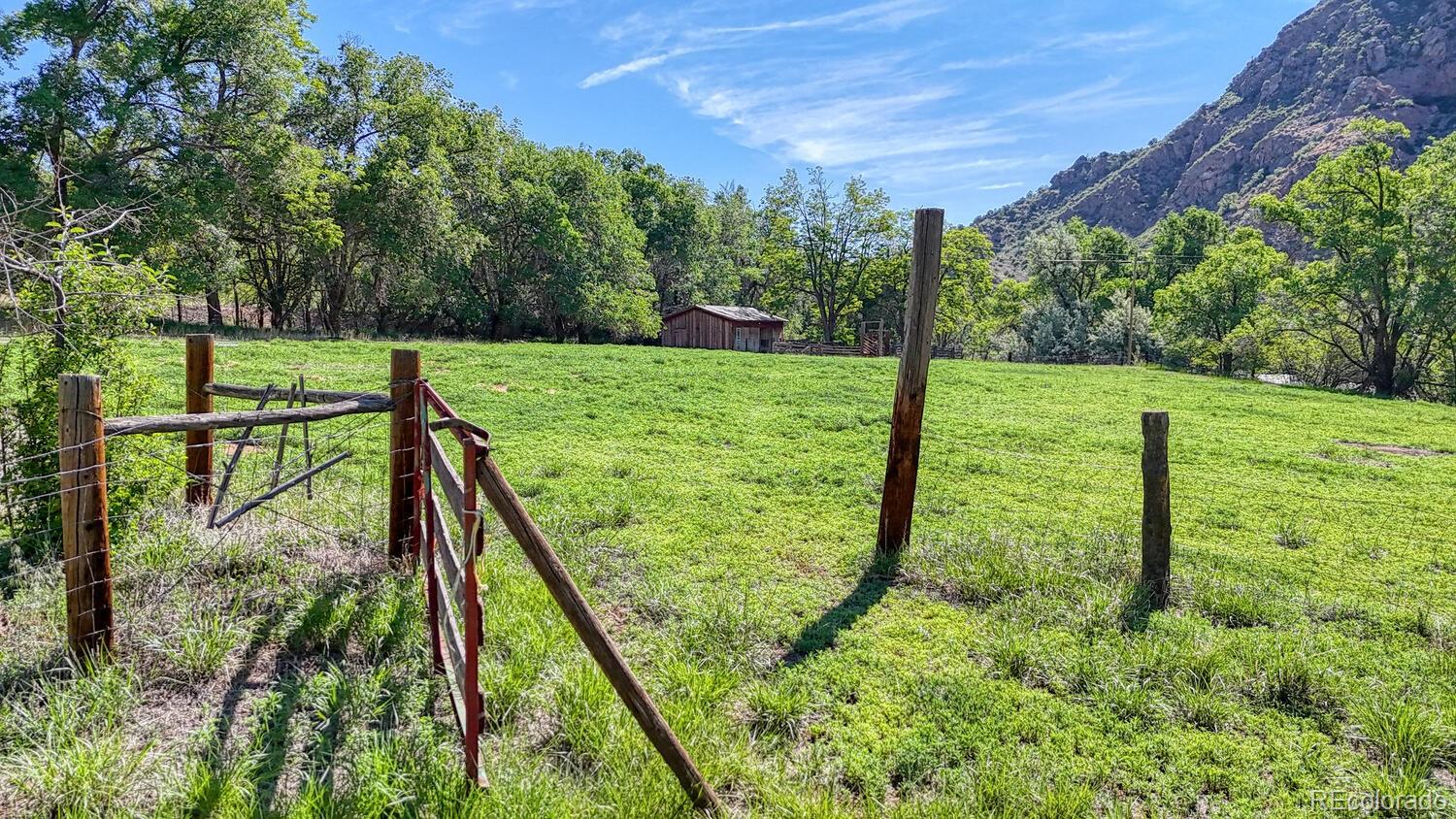 MLS Image #10 for 50  county road 12 ,cotopaxi, Colorado