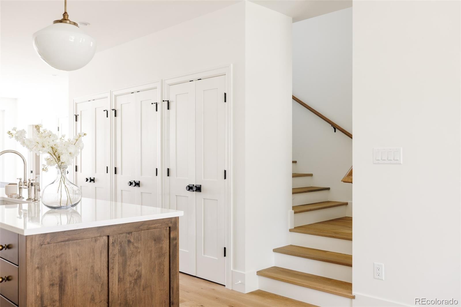 MLS Image #17 for 4131  quivas street,denver, Colorado