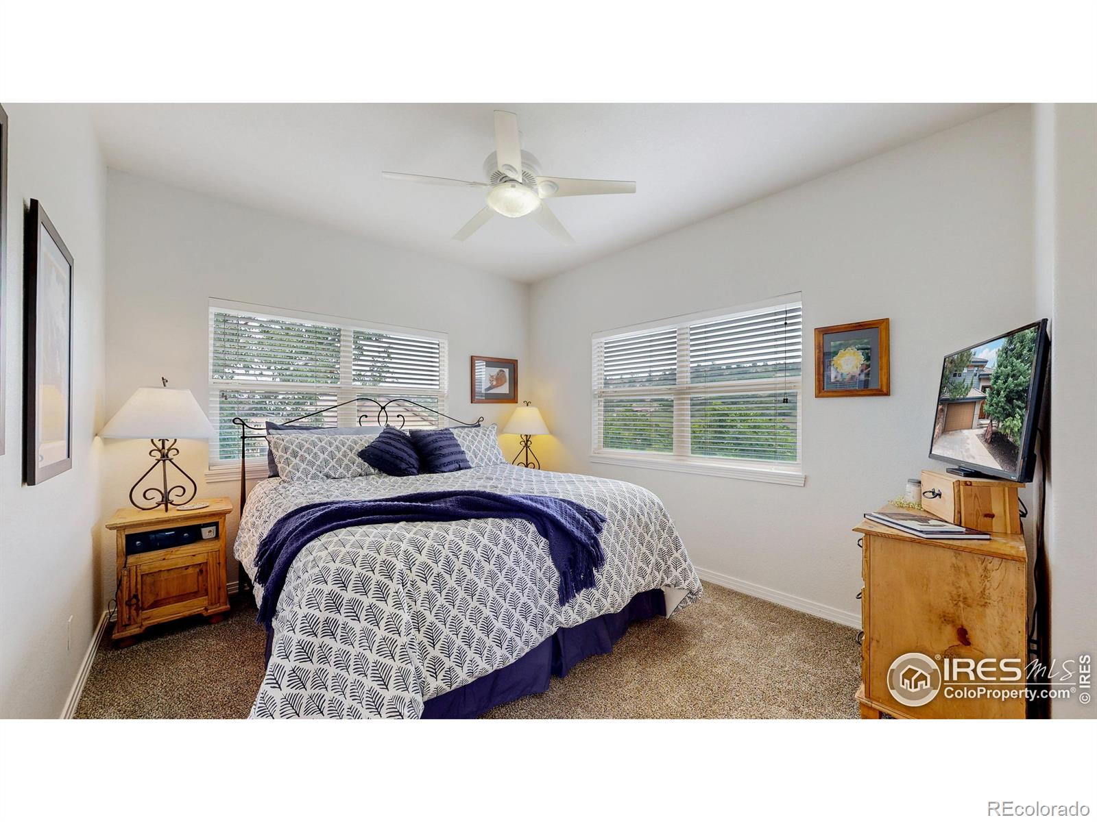MLS Image #11 for 6503  big horn trail,littleton, Colorado