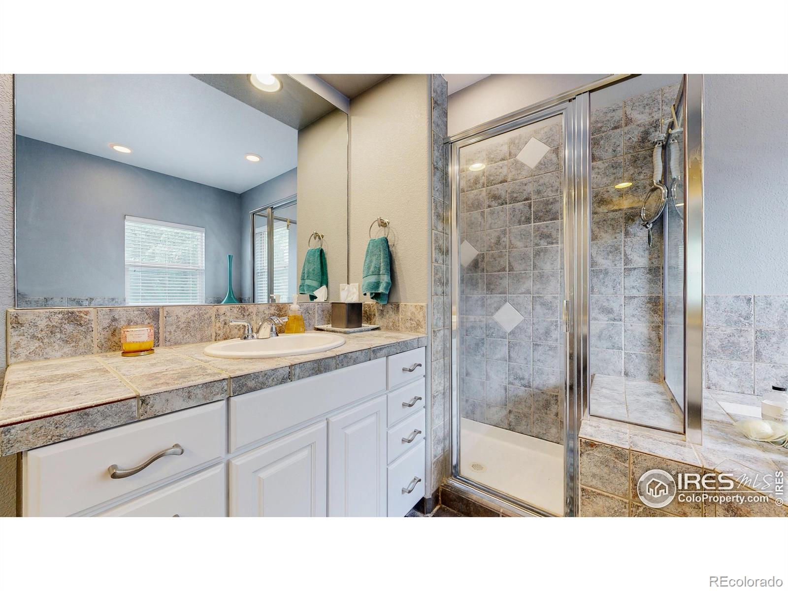 MLS Image #14 for 6503  big horn trail,littleton, Colorado