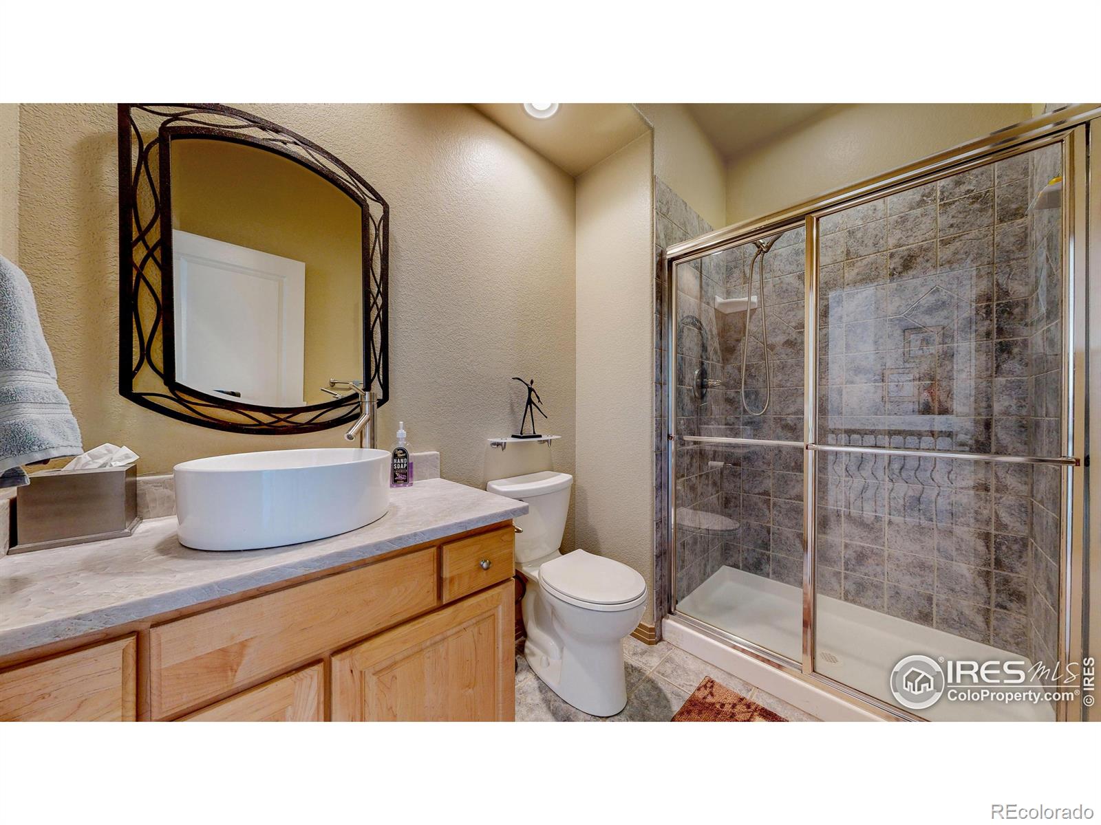 MLS Image #8 for 6503  big horn trail,littleton, Colorado