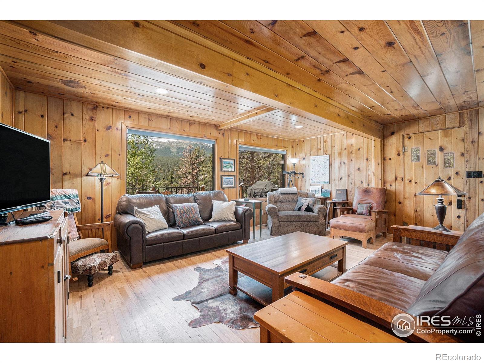 MLS Image #5 for 6600  highway 7 ,estes park, Colorado