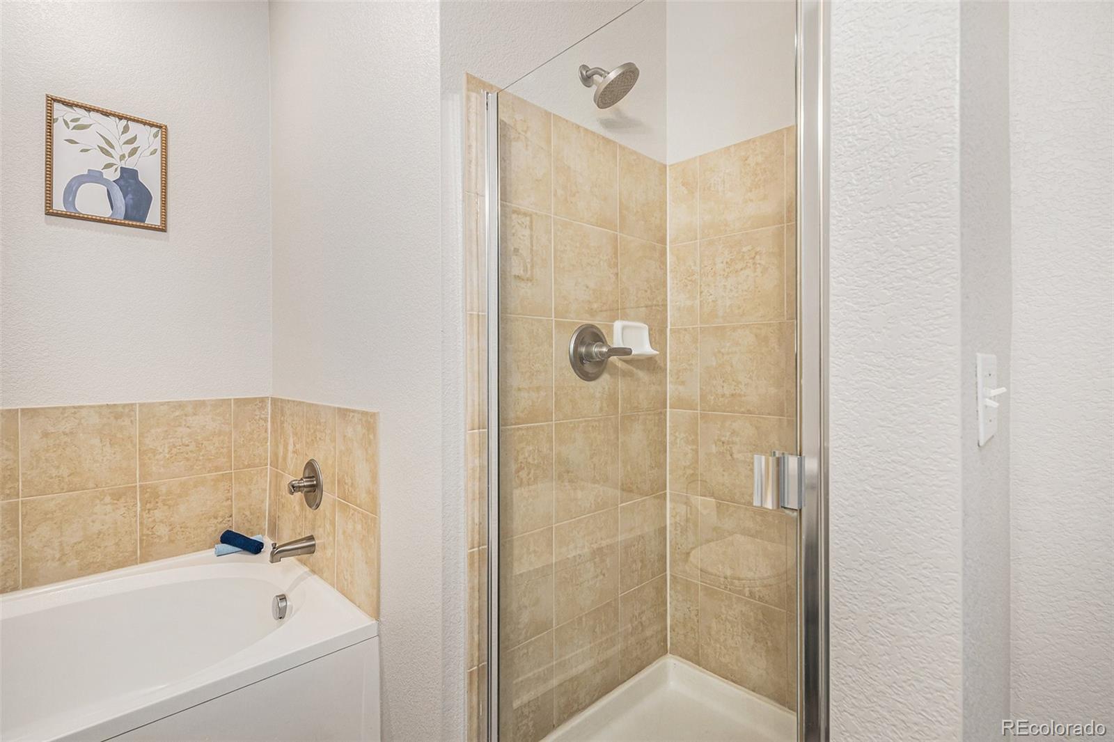 MLS Image #19 for 9434  ashbury circle,parker, Colorado