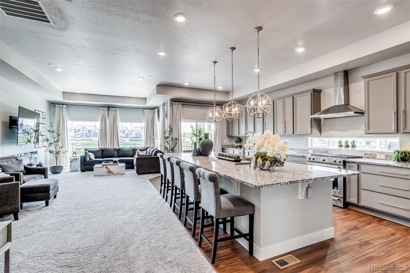 MLS Image #2 for 16578 e 111th place,commerce city, Colorado