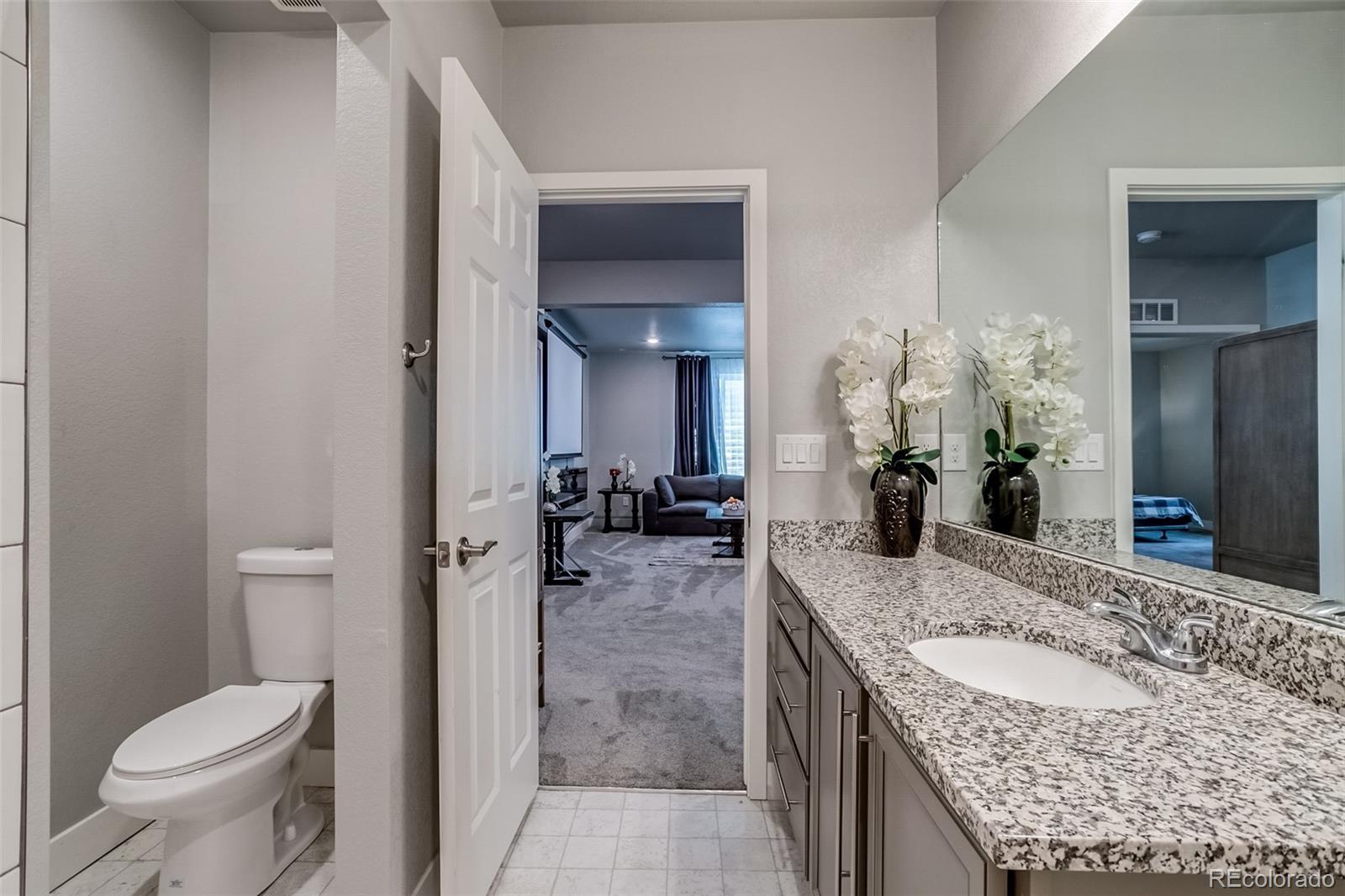 MLS Image #31 for 16578 e 111th place,commerce city, Colorado