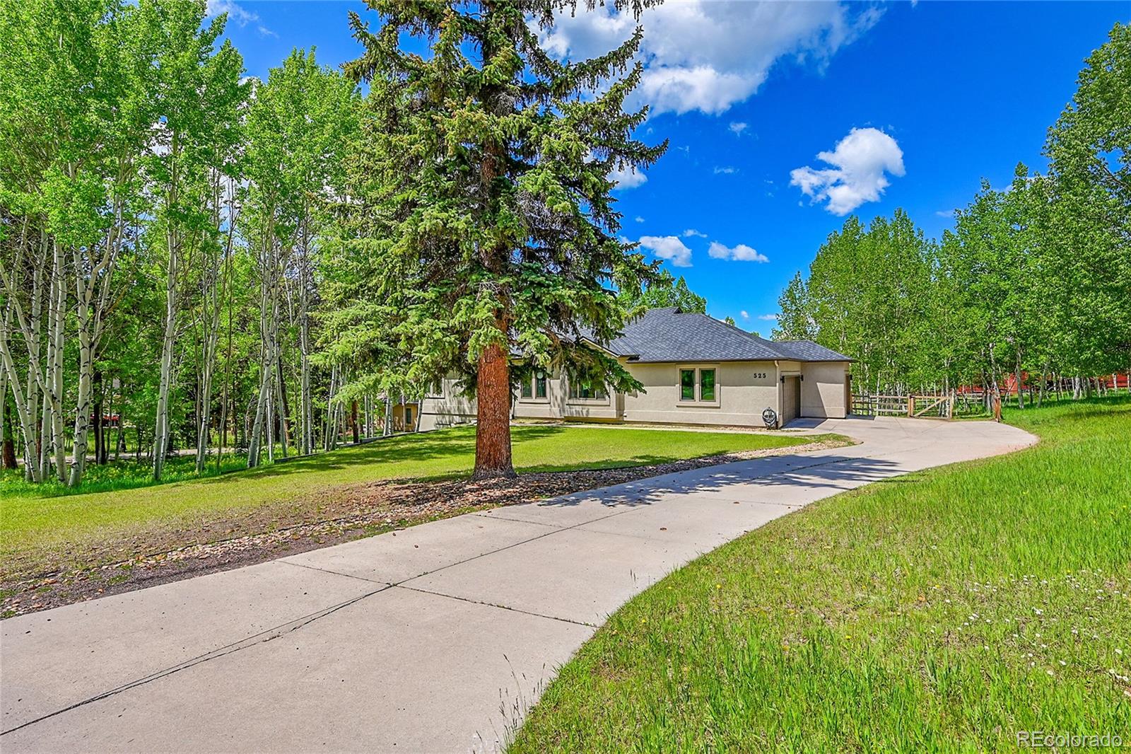 MLS Image #1 for 525  regent lane,woodland park, Colorado