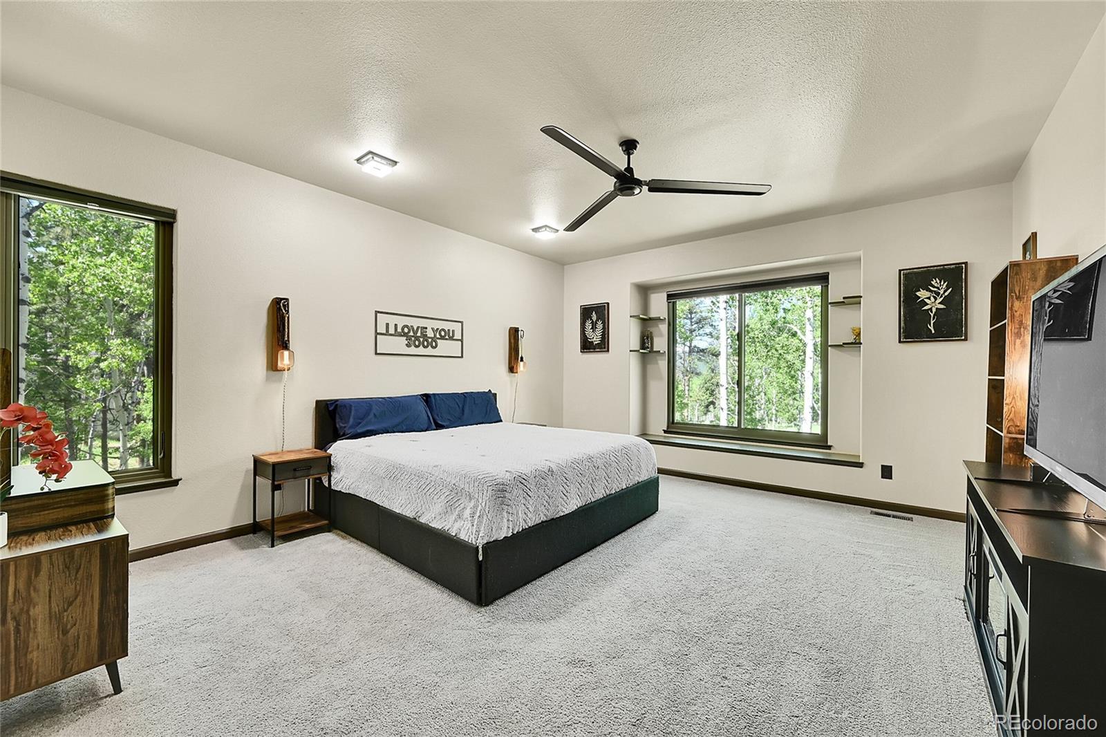 MLS Image #19 for 525  regent lane,woodland park, Colorado