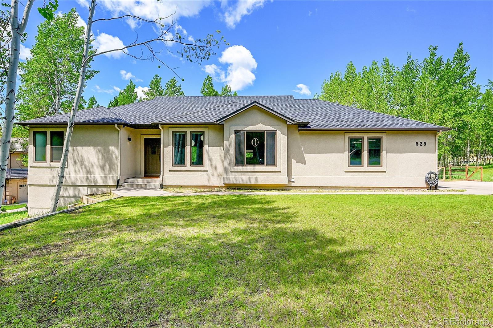 MLS Image #2 for 525  regent lane,woodland park, Colorado