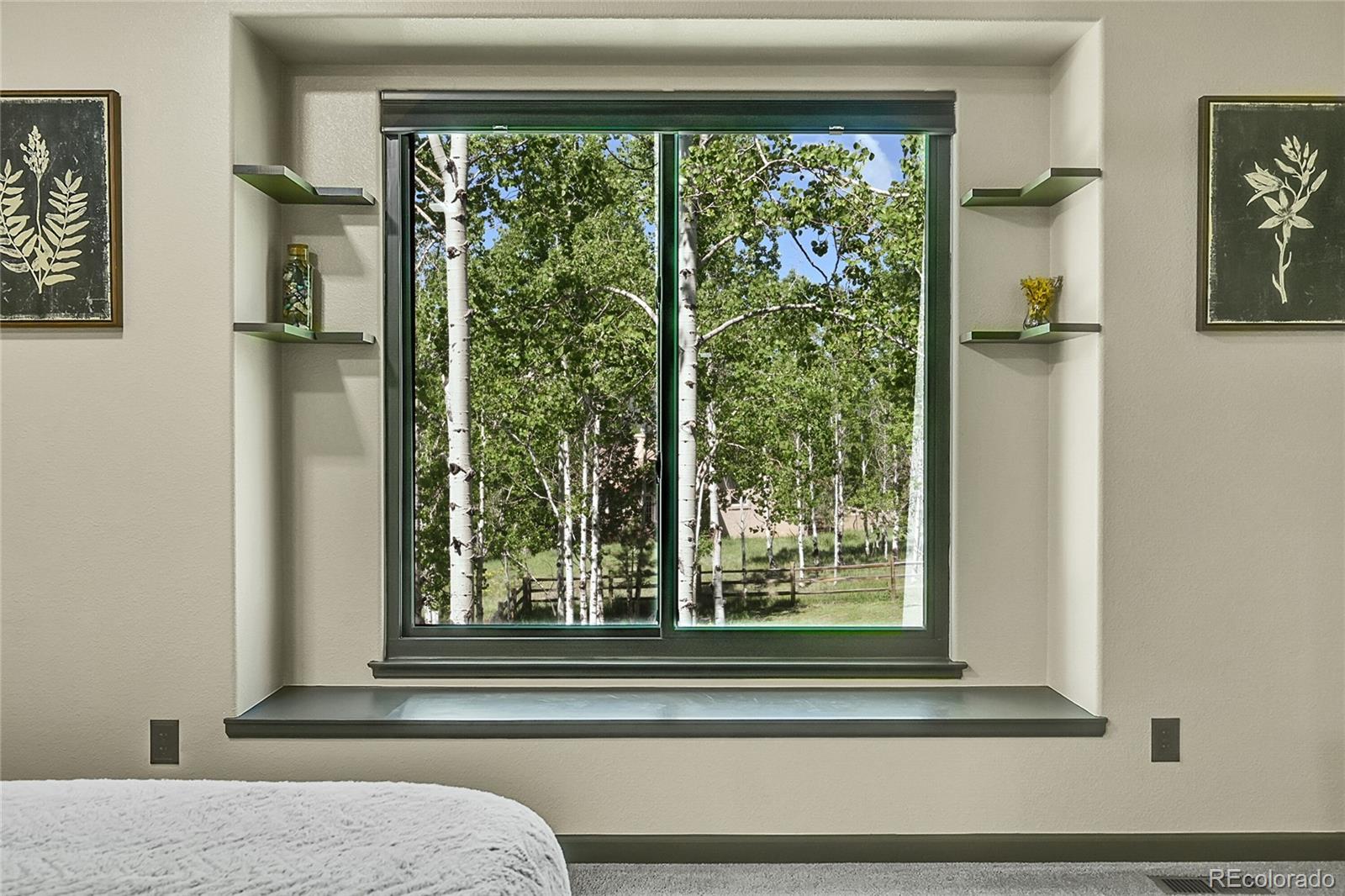 MLS Image #22 for 525  regent lane,woodland park, Colorado