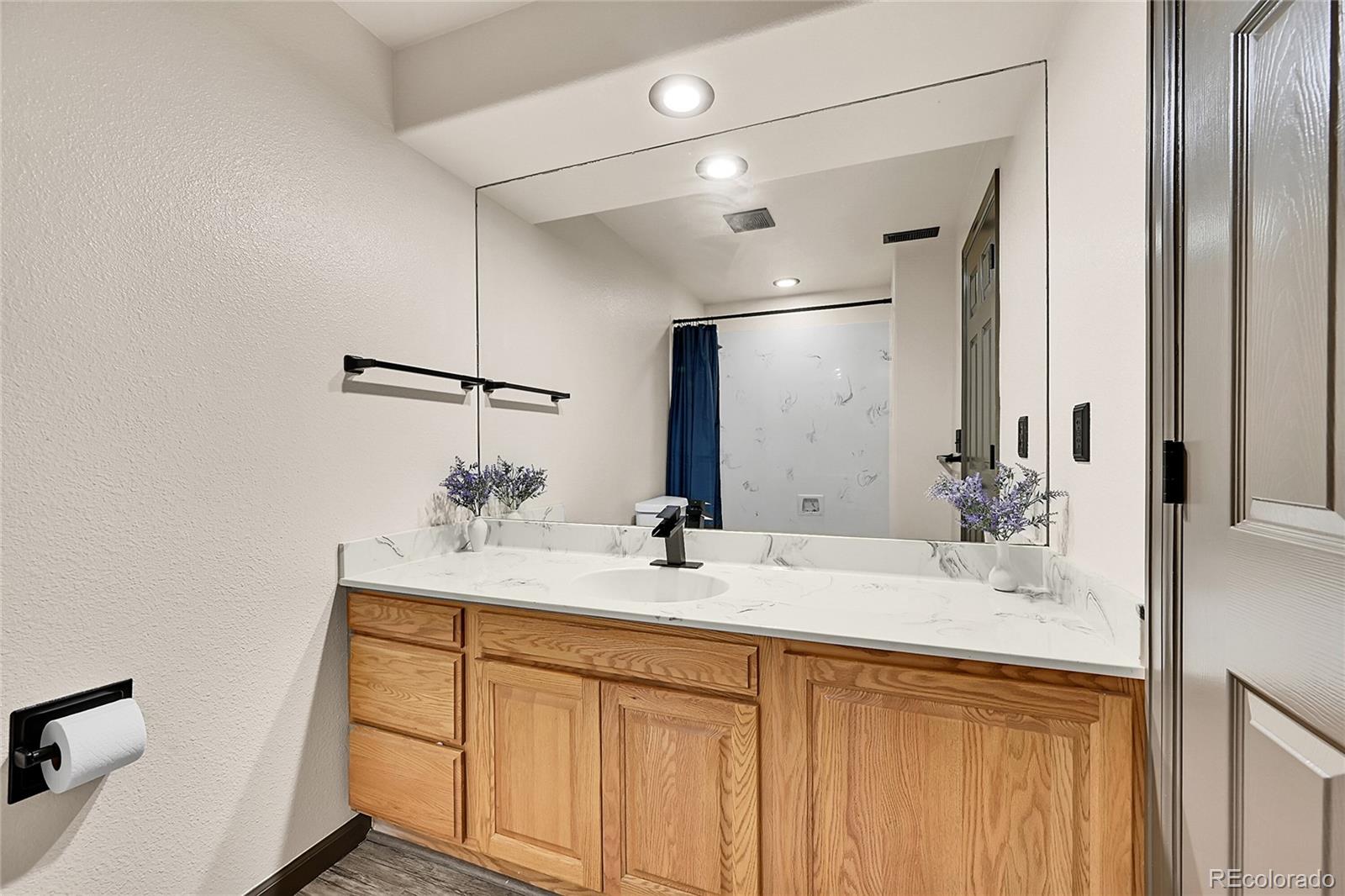 MLS Image #26 for 525  regent lane,woodland park, Colorado