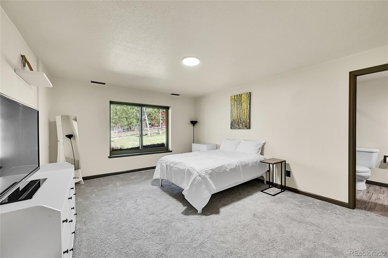 MLS Image #27 for 525  regent lane,woodland park, Colorado