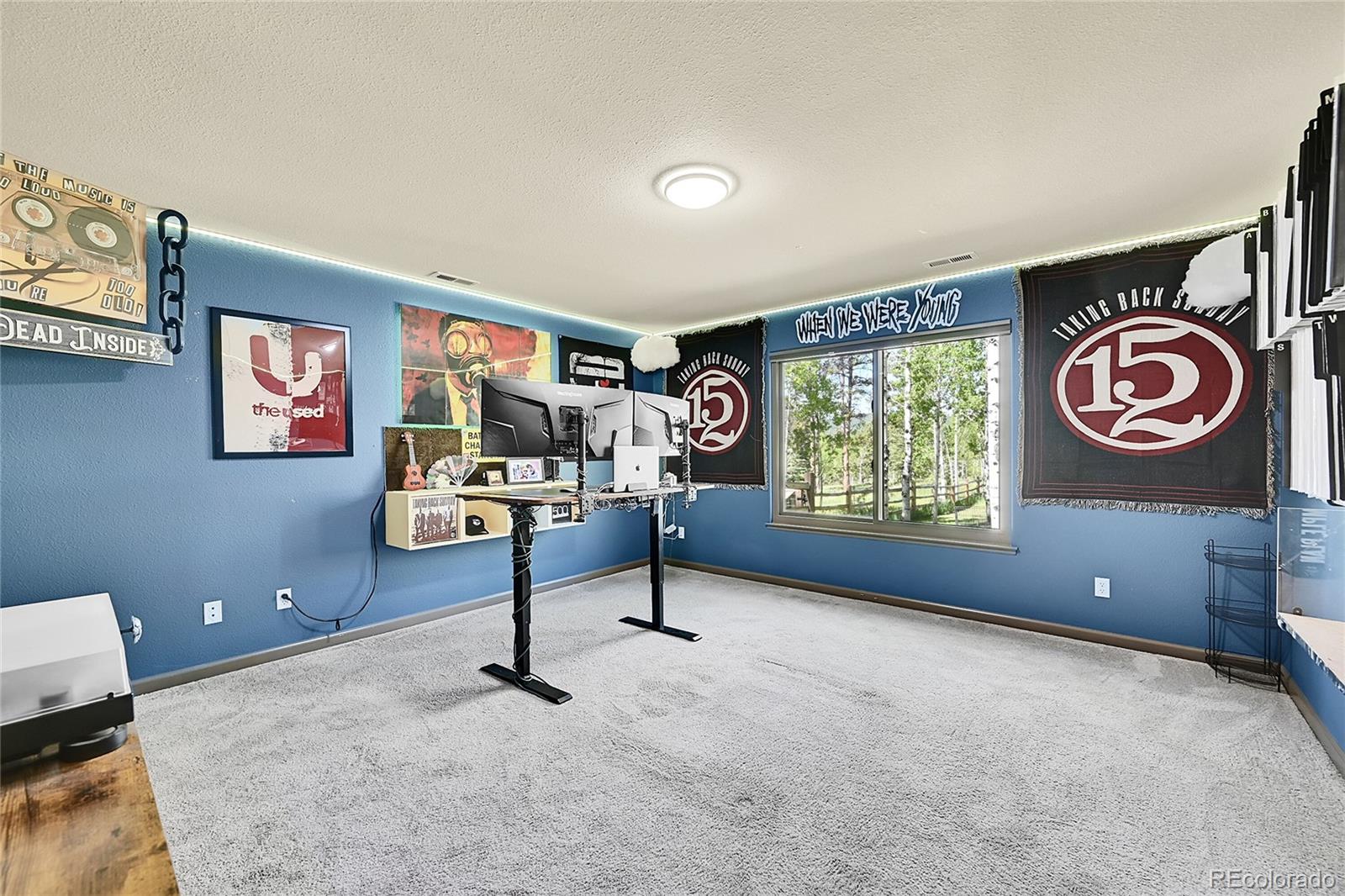 MLS Image #30 for 525  regent lane,woodland park, Colorado