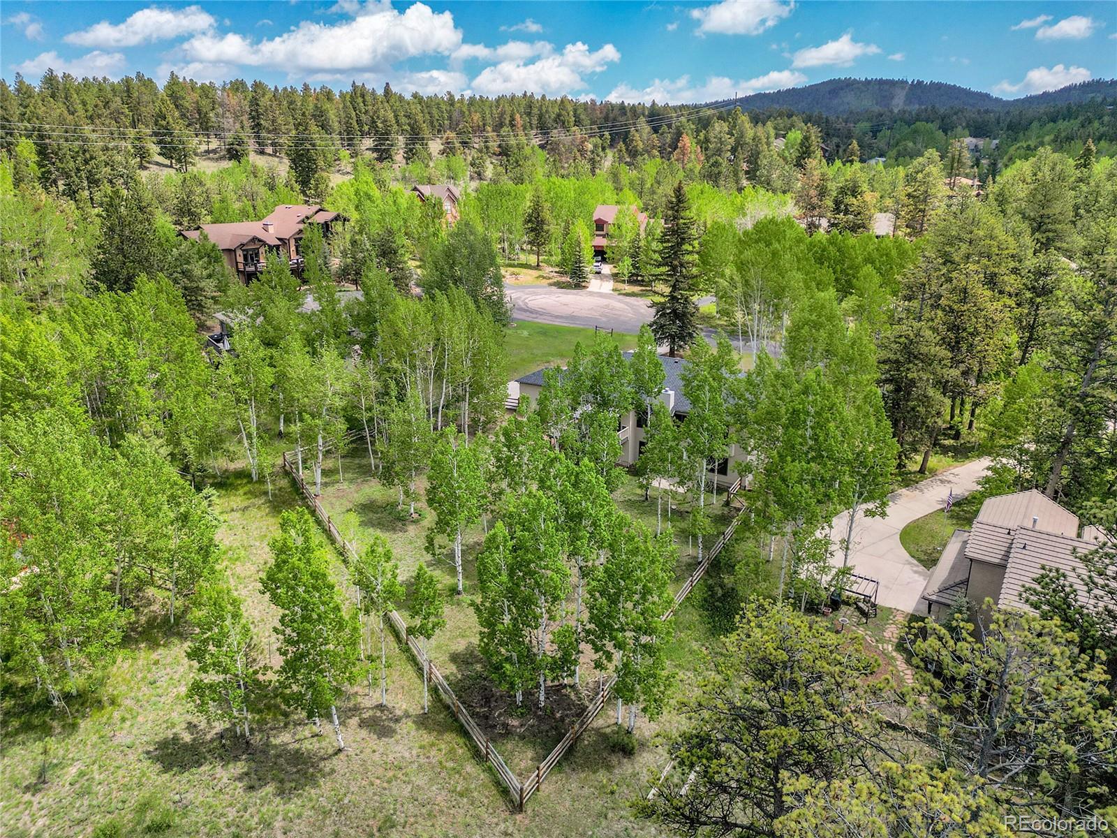 MLS Image #45 for 525  regent lane,woodland park, Colorado