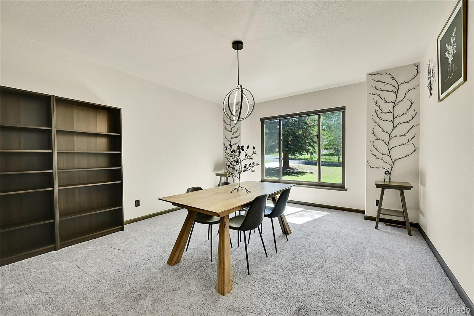 MLS Image #7 for 525  regent lane,woodland park, Colorado