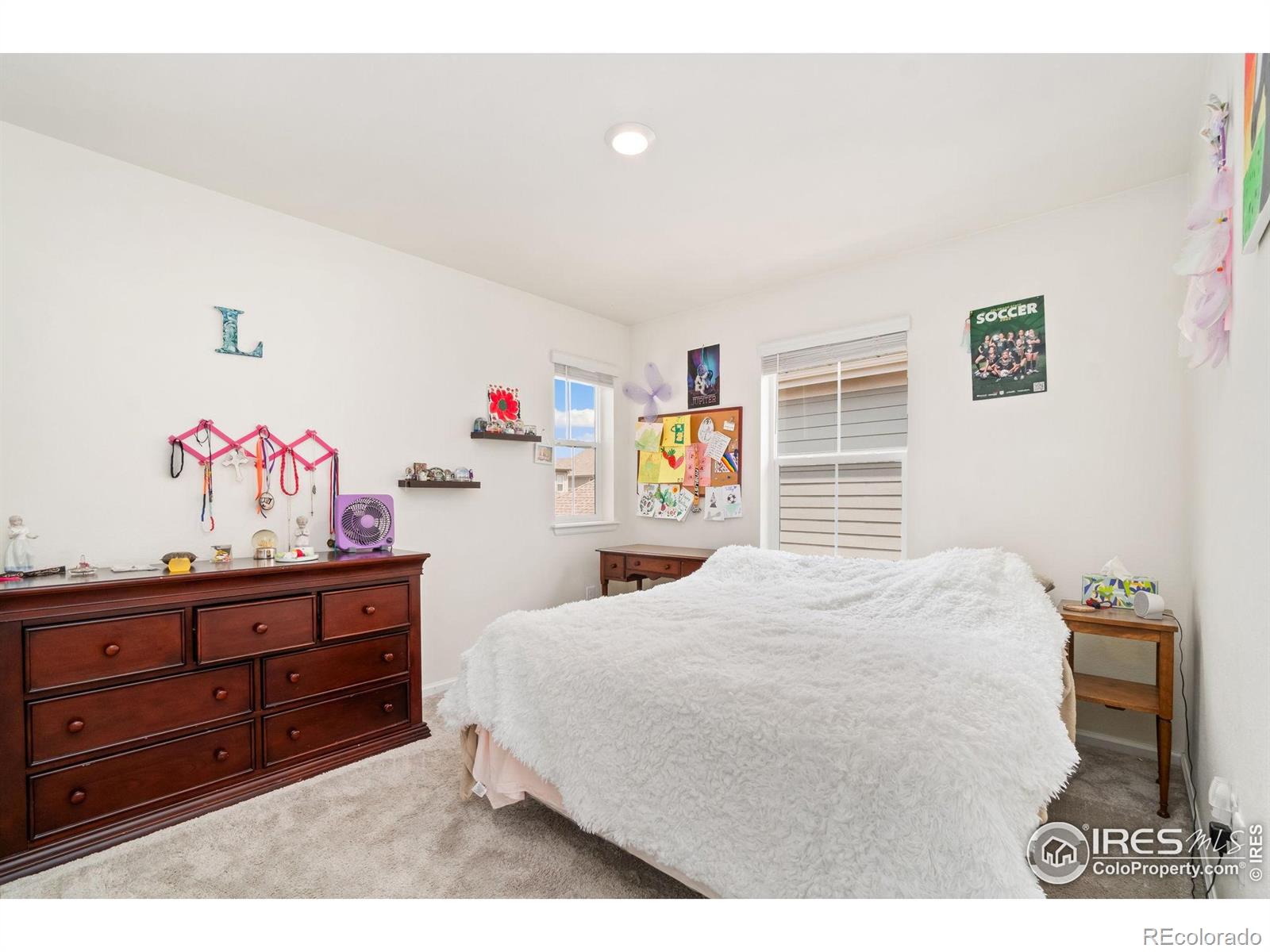 MLS Image #17 for 335  zeppelin way,fort collins, Colorado