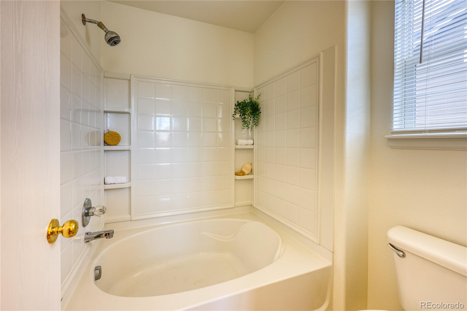 MLS Image #17 for 7345 s nucla street,aurora, Colorado