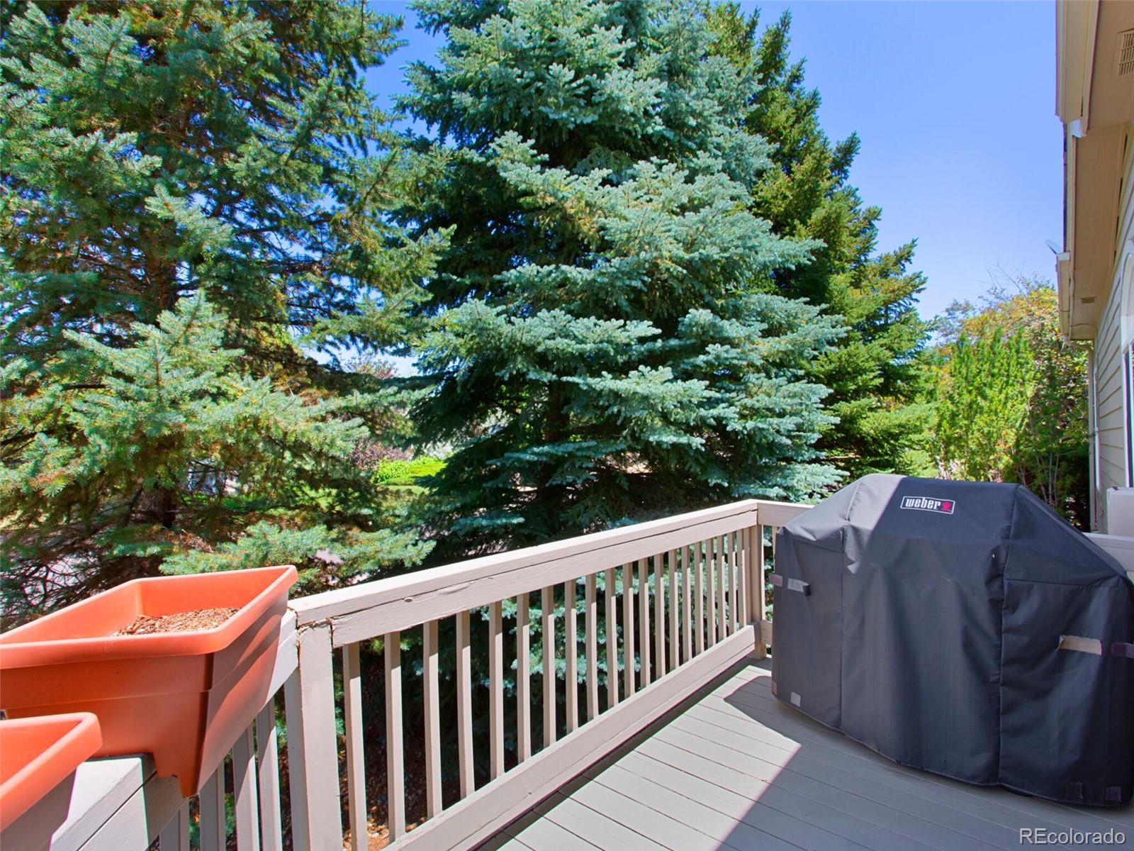 MLS Image #36 for 86  woodland circle,highlands ranch, Colorado