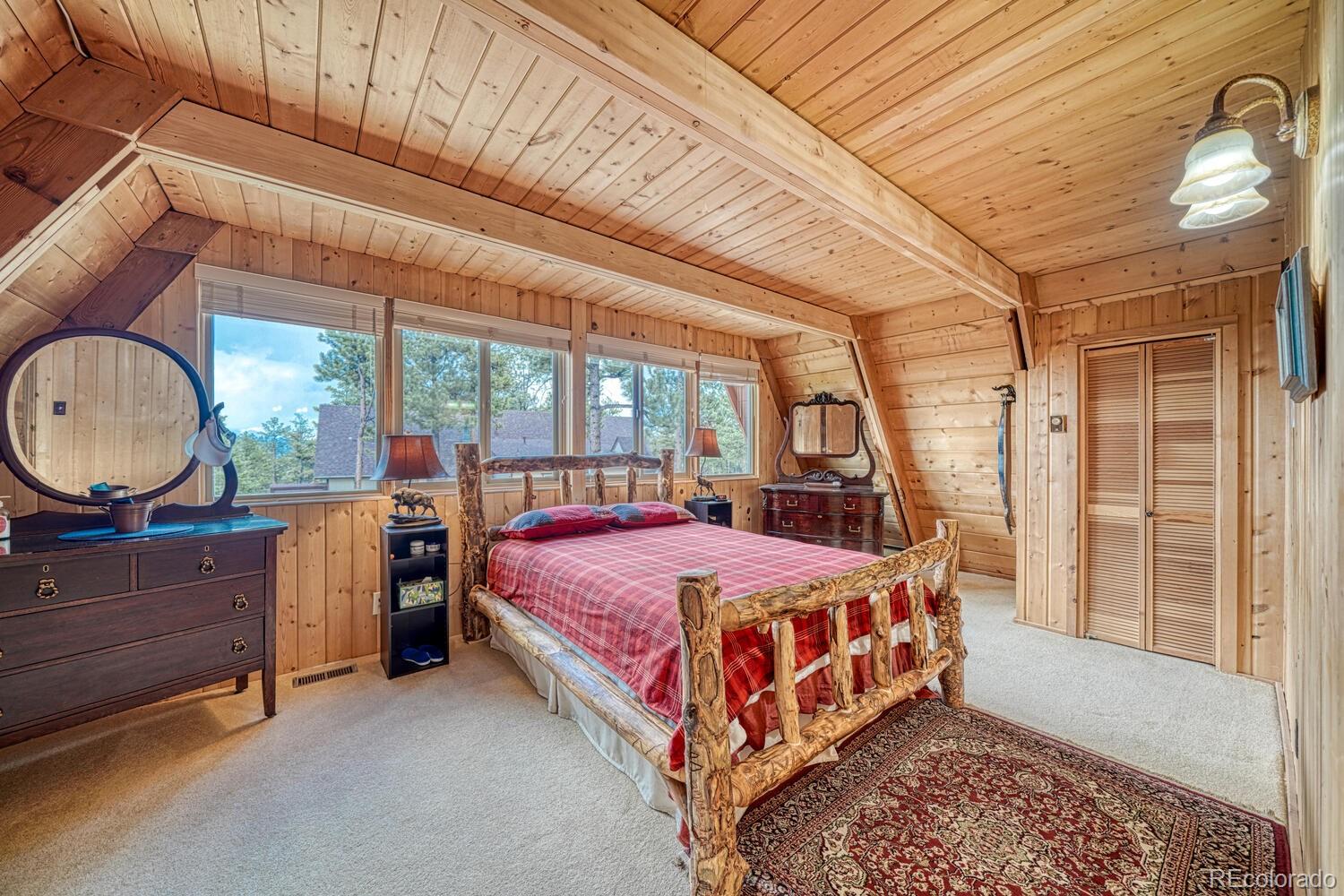 MLS Image #16 for 16495  mt princeton road,buena vista, Colorado
