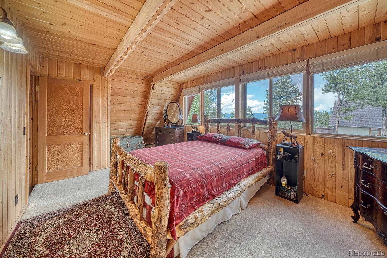 MLS Image #17 for 16495  mt princeton road,buena vista, Colorado