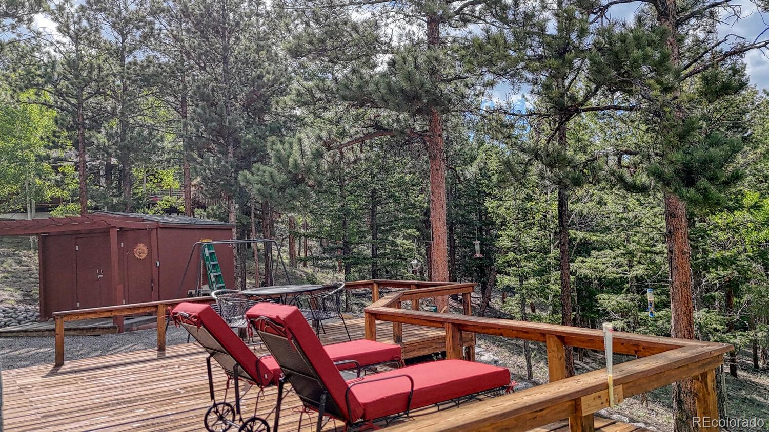 MLS Image #33 for 16495  mt princeton road,buena vista, Colorado